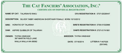 cfa cat registry|cfa kitten registration.